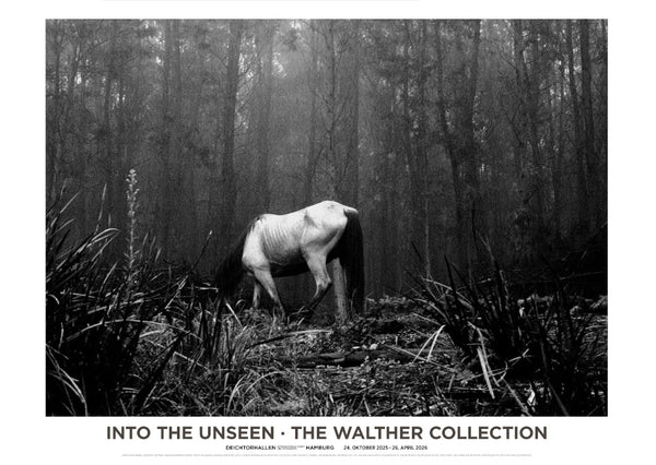 THE WALTHER COLLECTION - Edition