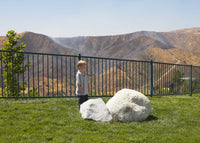 PAUL GRAHAM - EDITION 2010